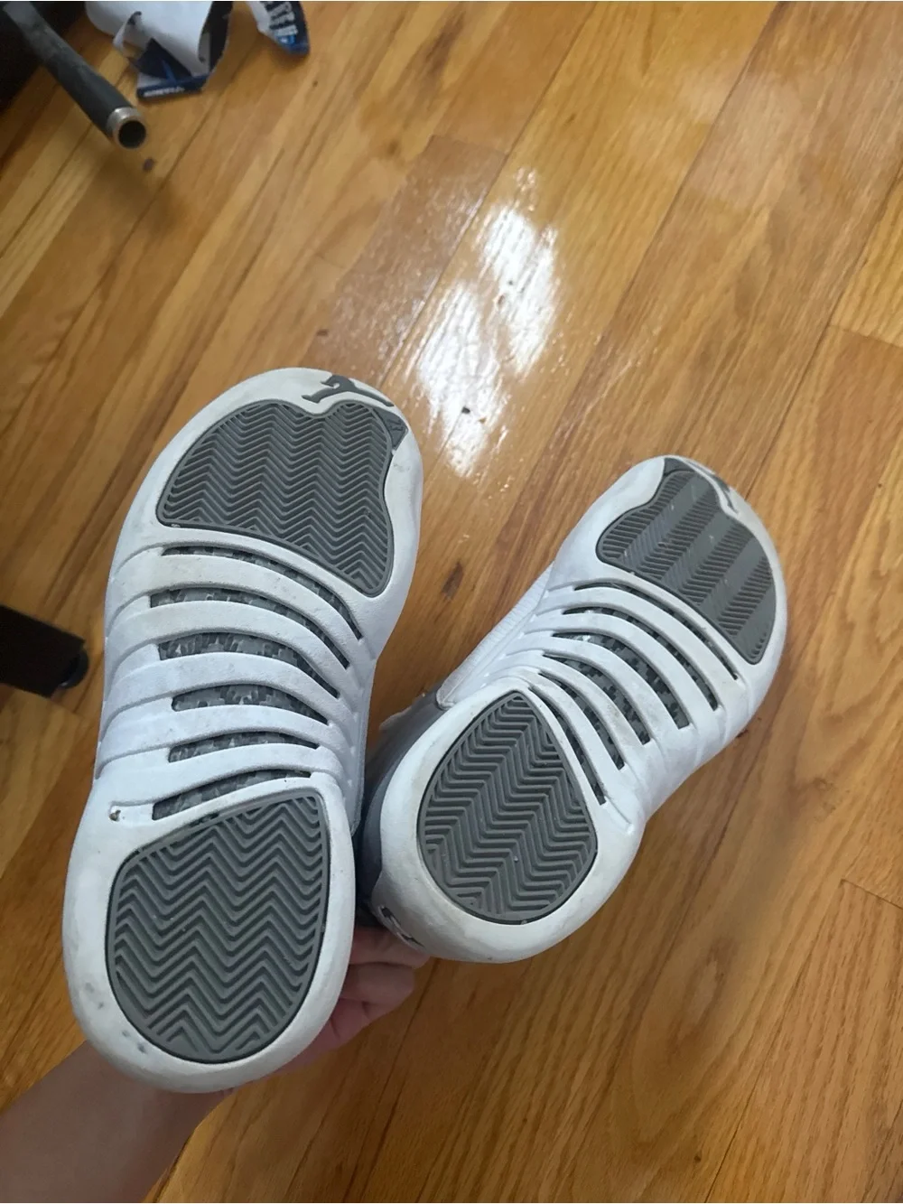 Jordan 12 Retro Stealth